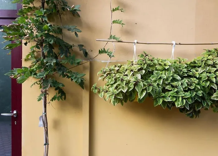 Casasassi, With Outdoor Living Space * Turijn