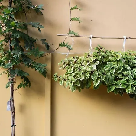 Casasassi, With Outdoor Living Space * Torino